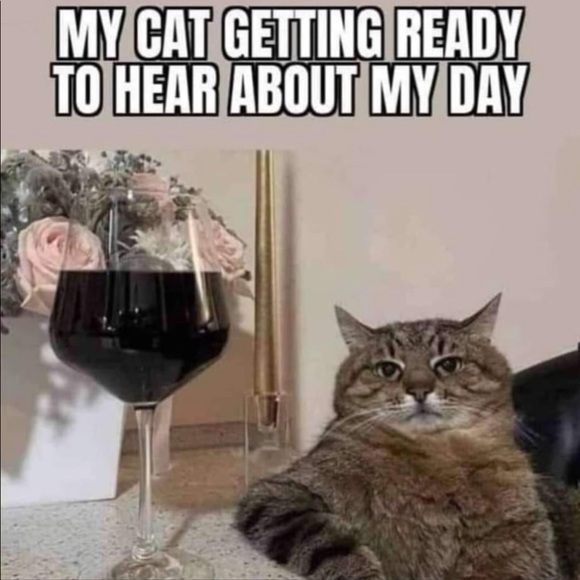 Welcome💕 - Picture 4 of 12